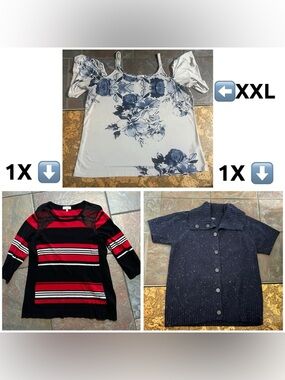 1X/2X Clothing Lot